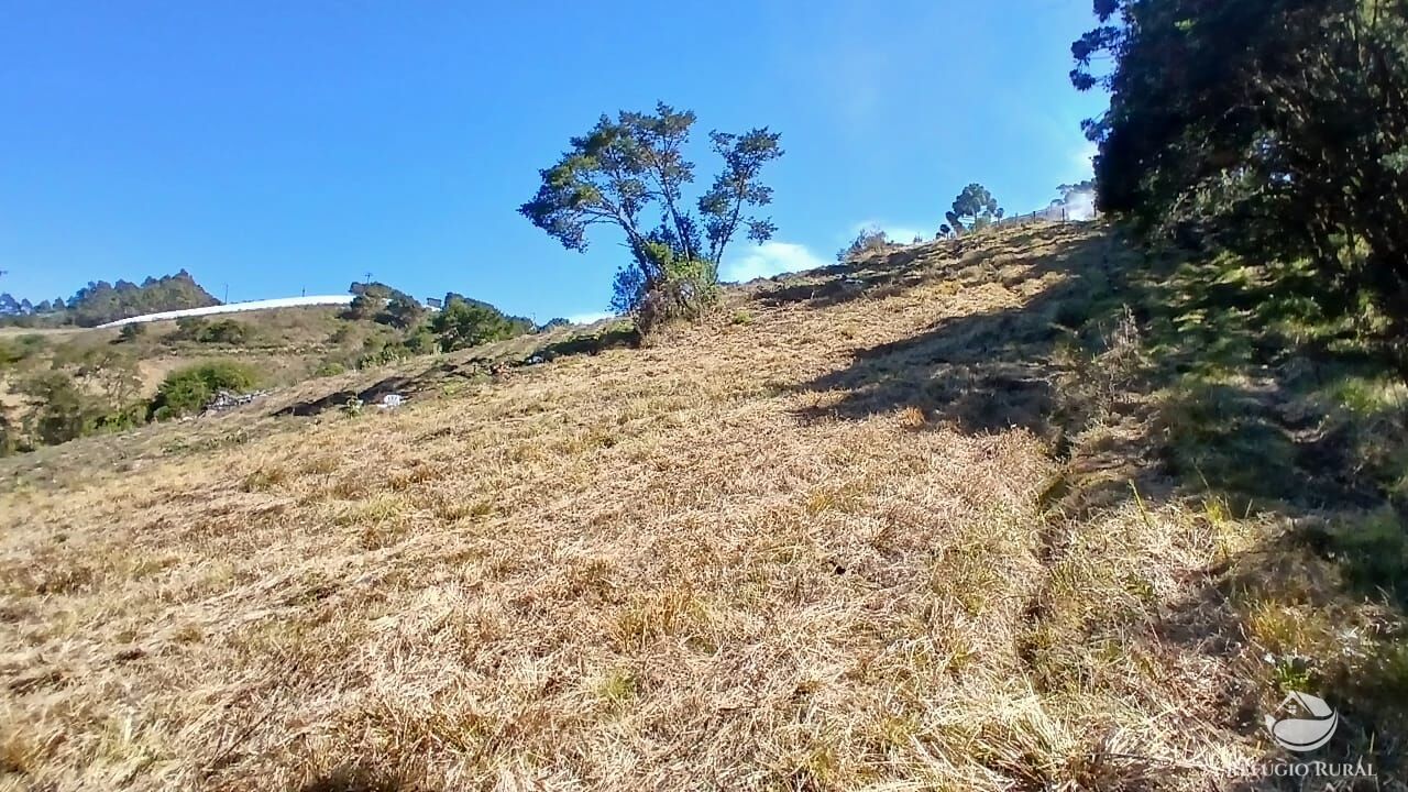 Sítio, 2 quartos, 10 hectares - Foto 15