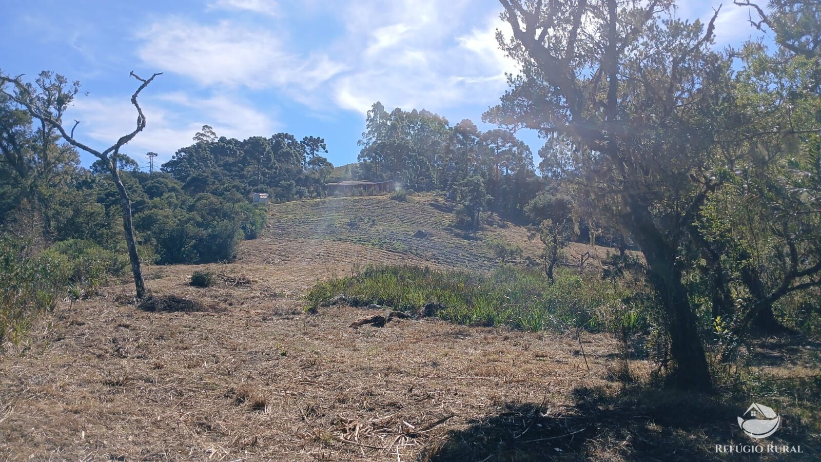 Sítio, 2 quartos, 10 hectares - Foto 21
