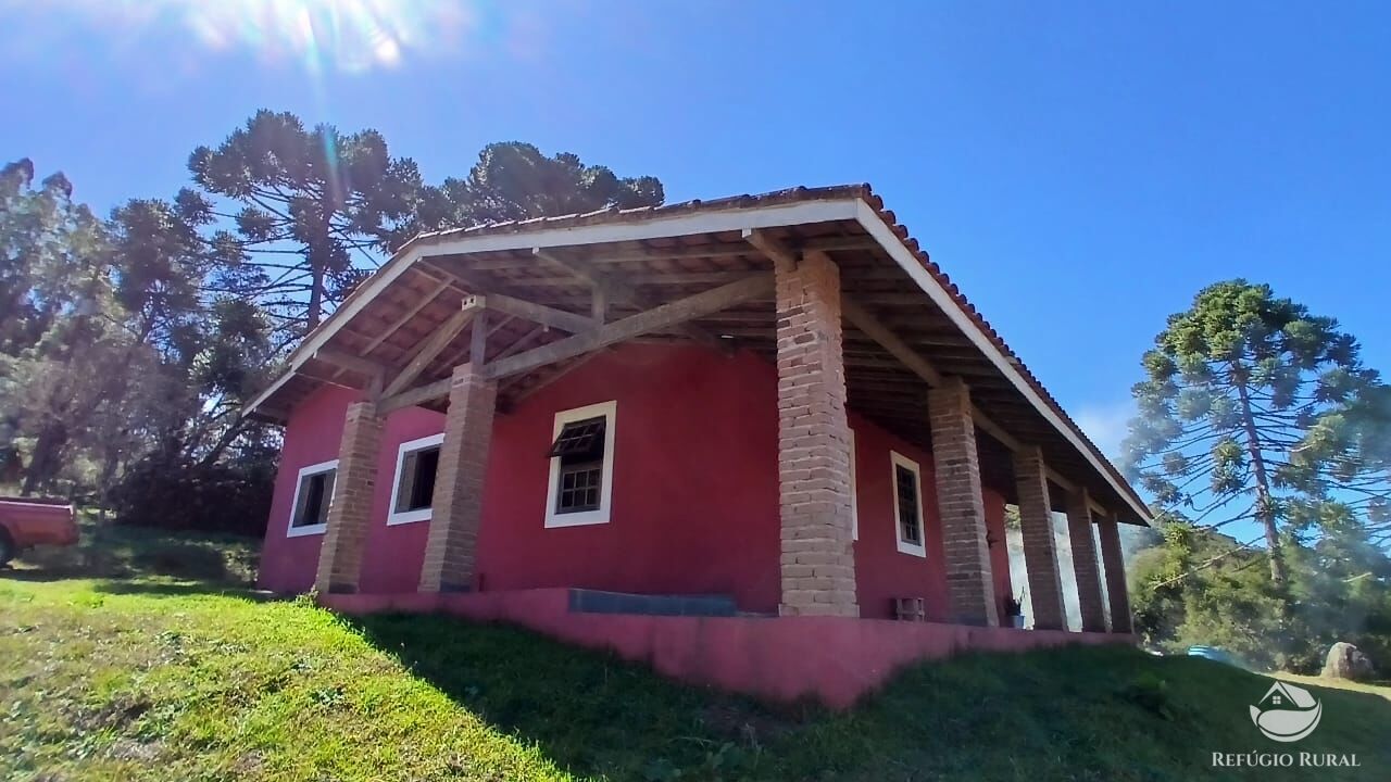 Sítio, 2 quartos, 10 hectares - Foto 9