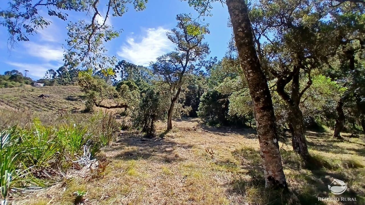 Sítio, 2 quartos, 10 hectares - Foto 17