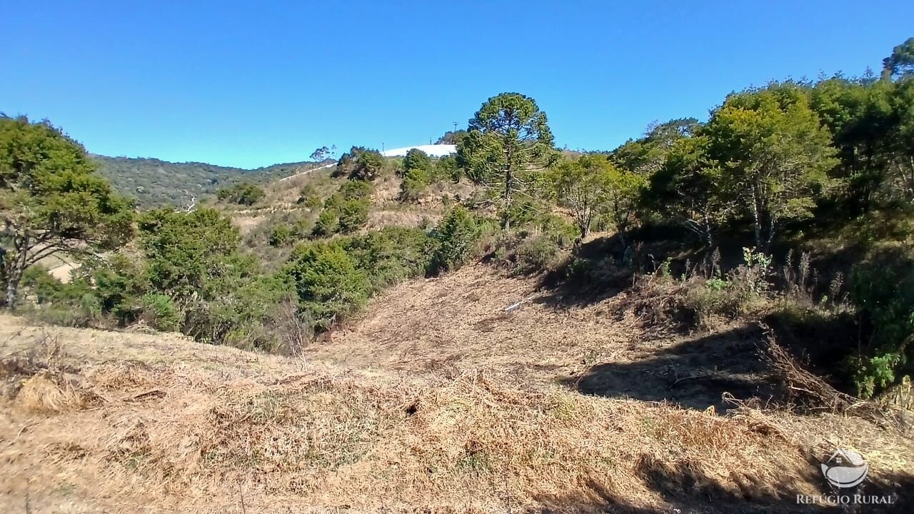 Sítio, 2 quartos, 10 hectares - Foto 14