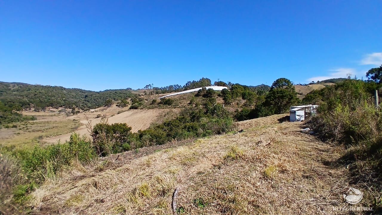 Sítio, 2 quartos, 10 hectares - Foto 5