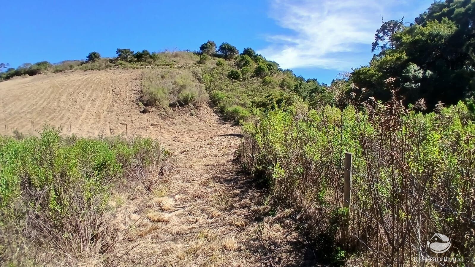 Sítio, 2 quartos, 10 hectares - Foto 20