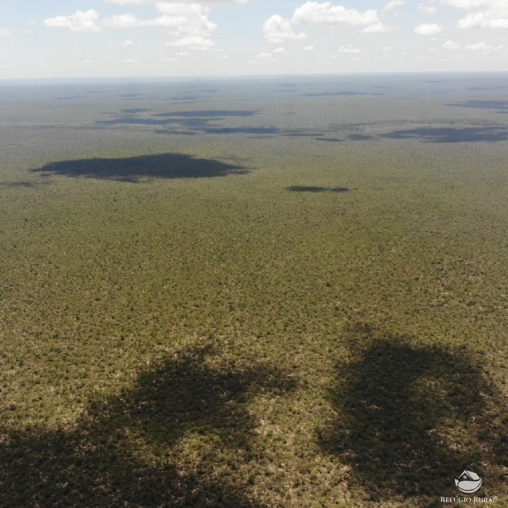 Fazenda à venda com 1 quarto, 320120000m² - Foto 5