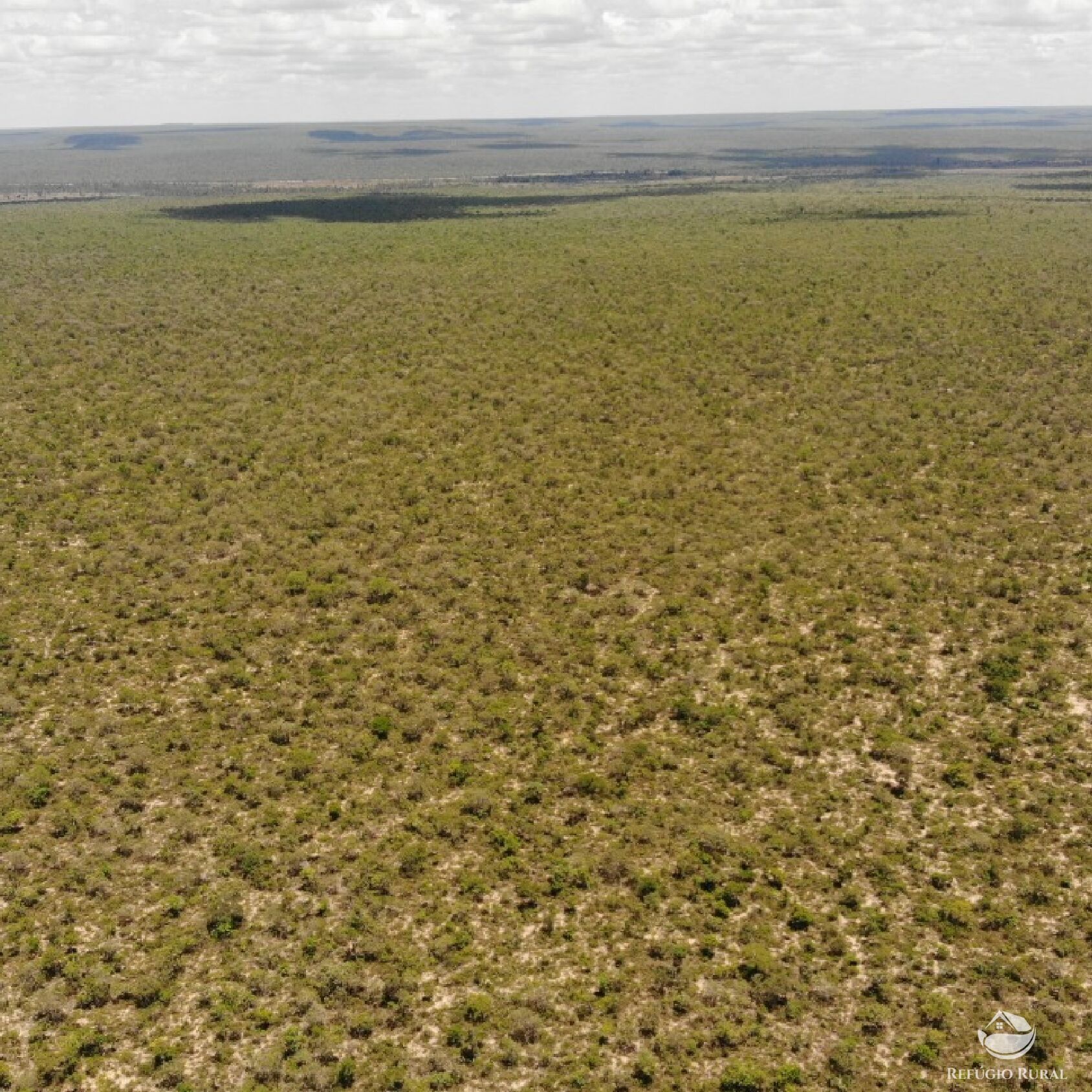 Fazenda à venda com 1 quarto, 320120000m² - Foto 4