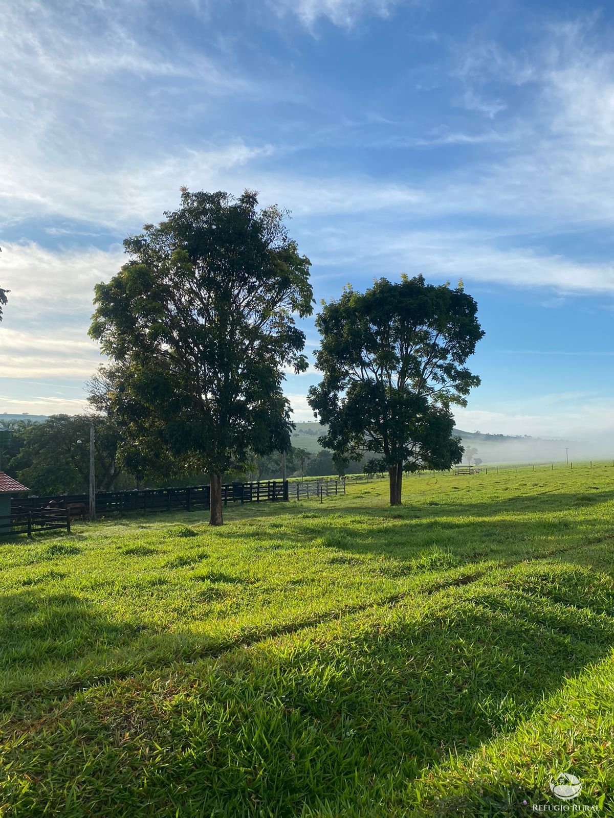 Fazenda à venda com 5 quartos, 12580000m² - Foto 5