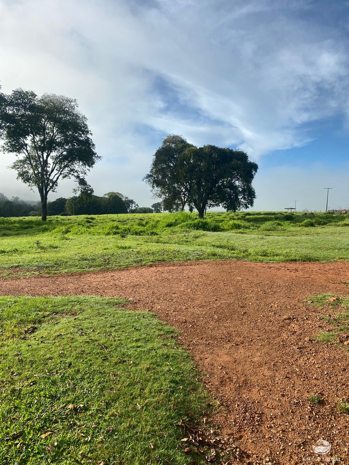 Fazenda à venda com 5 quartos, 12580000m² - Foto 11