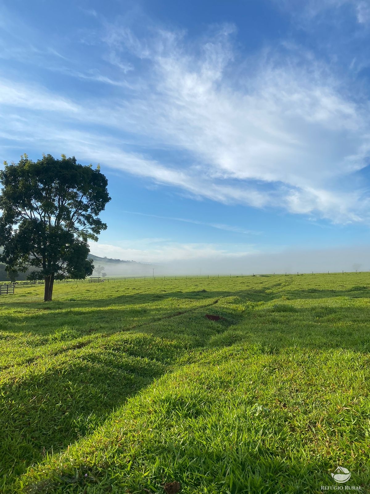 Fazenda à venda com 5 quartos, 12580000m² - Foto 3