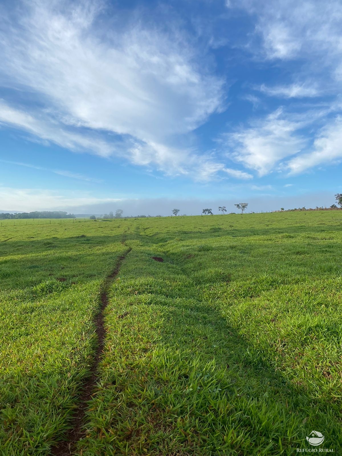 Fazenda à venda com 5 quartos, 12580000m² - Foto 13