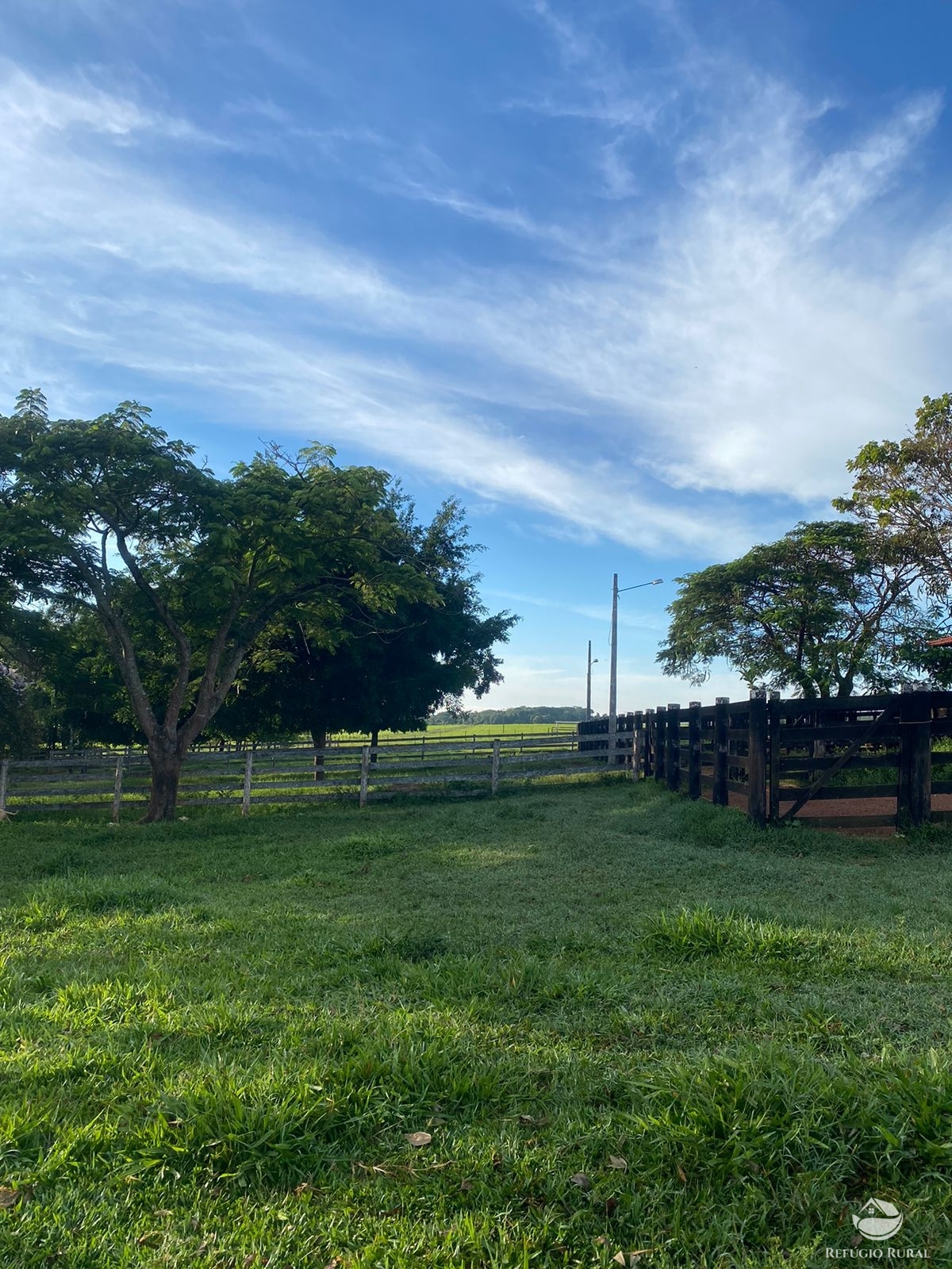 Fazenda à venda com 5 quartos, 12580000m² - Foto 12