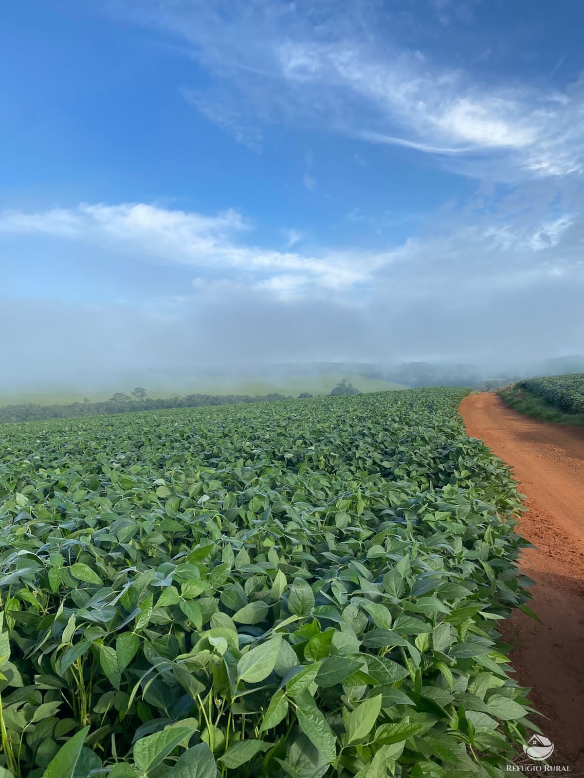 Fazenda à venda com 5 quartos, 12580000m² - Foto 8