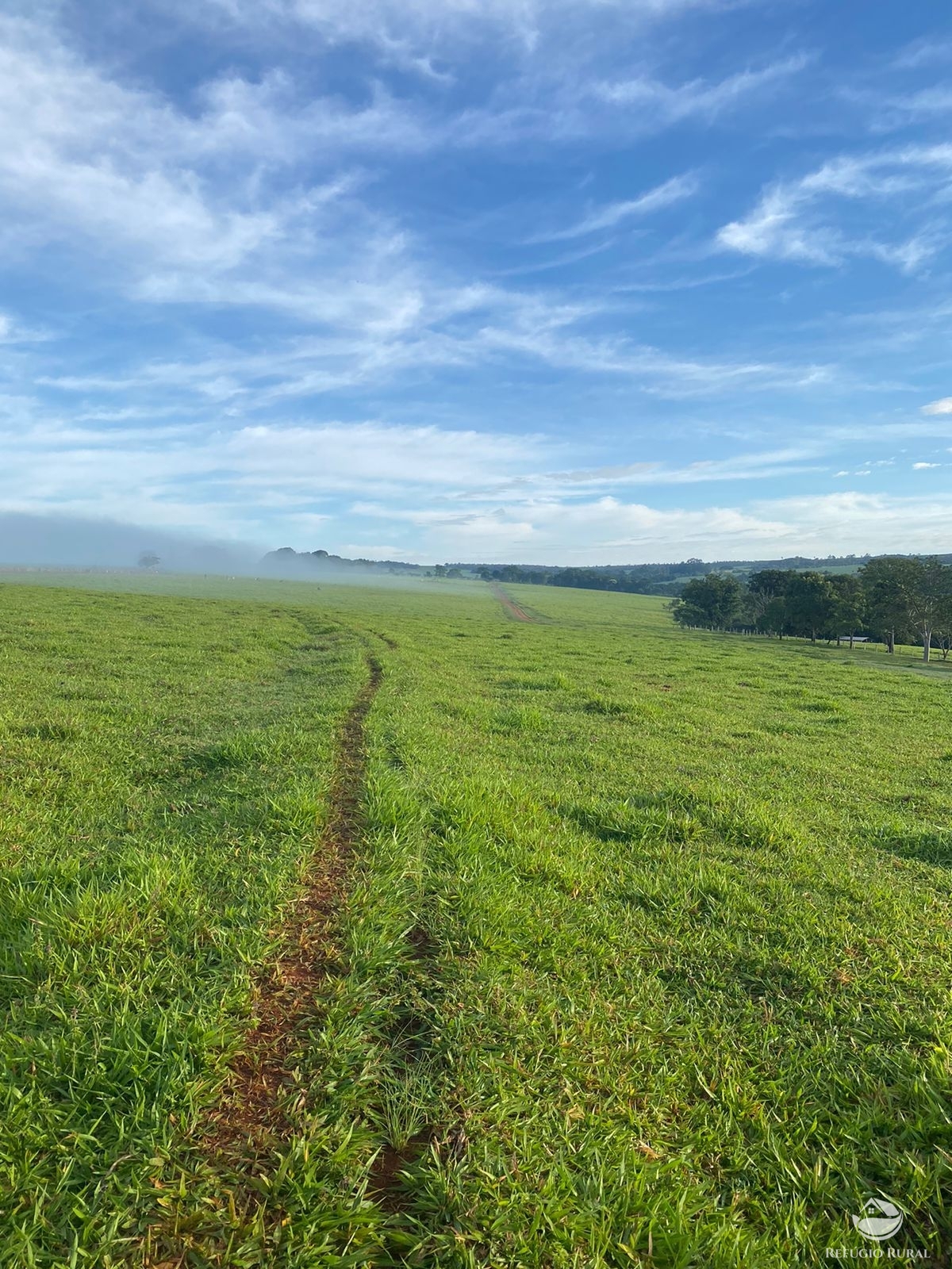 Fazenda à venda com 5 quartos, 12580000m² - Foto 15