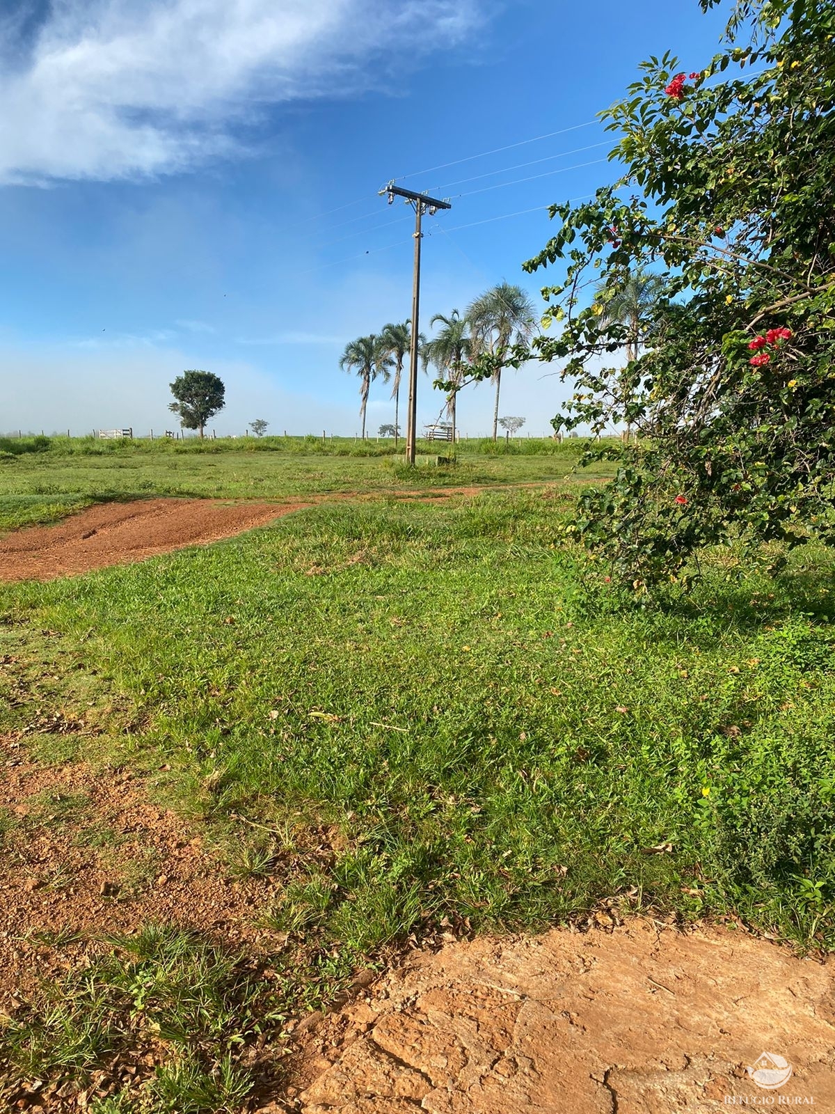 Fazenda à venda com 5 quartos, 12580000m² - Foto 7