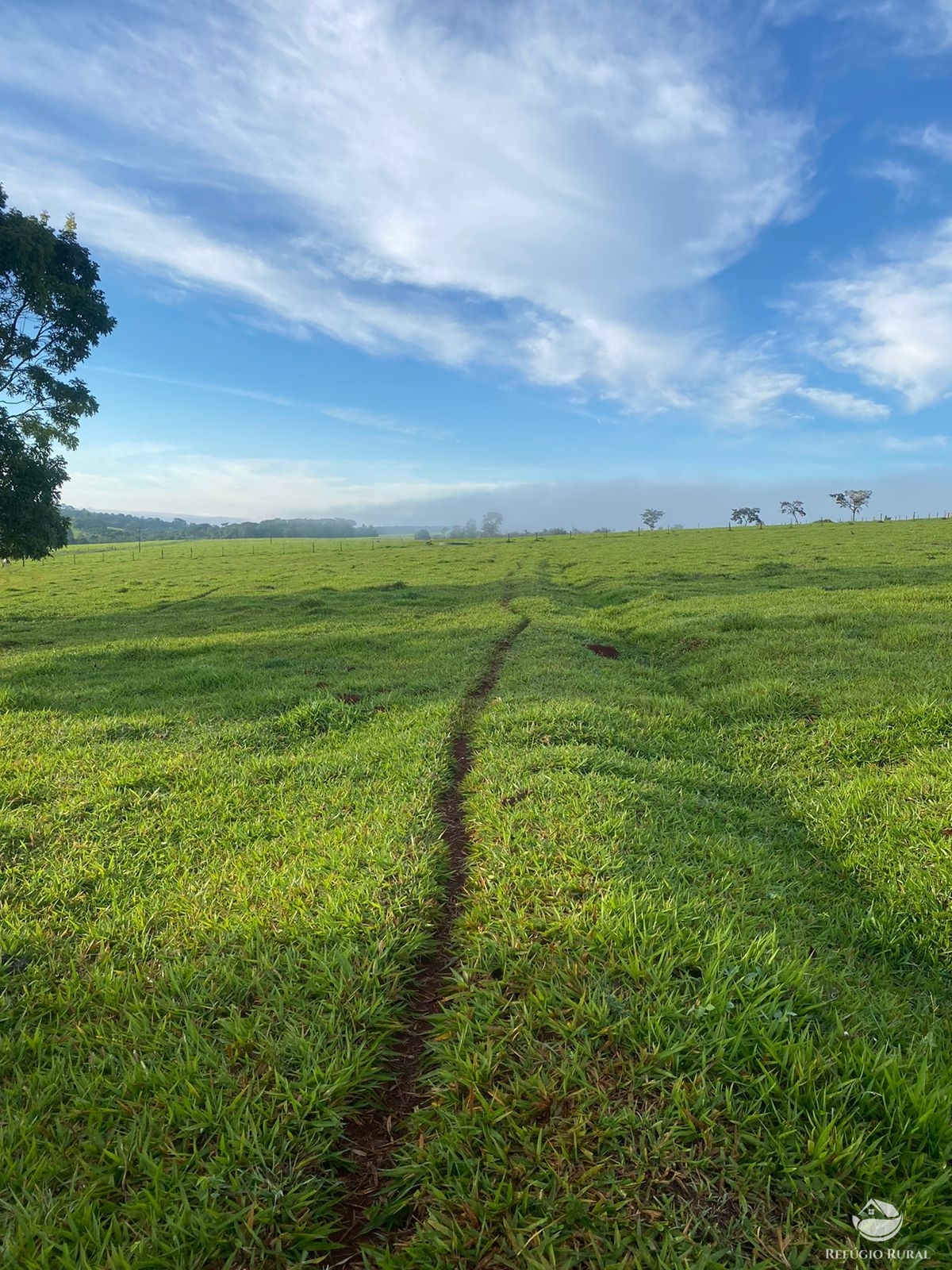 Fazenda à venda com 5 quartos, 12580000m² - Foto 4