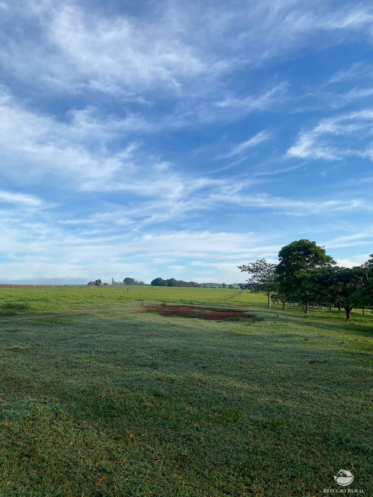 Fazenda à venda com 5 quartos, 12580000m² - Foto 14