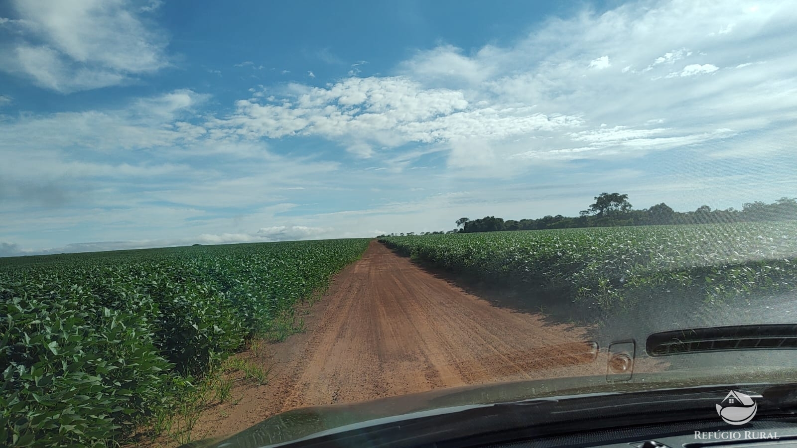 Fazenda à venda com 5 quartos, 12580000m² - Foto 24