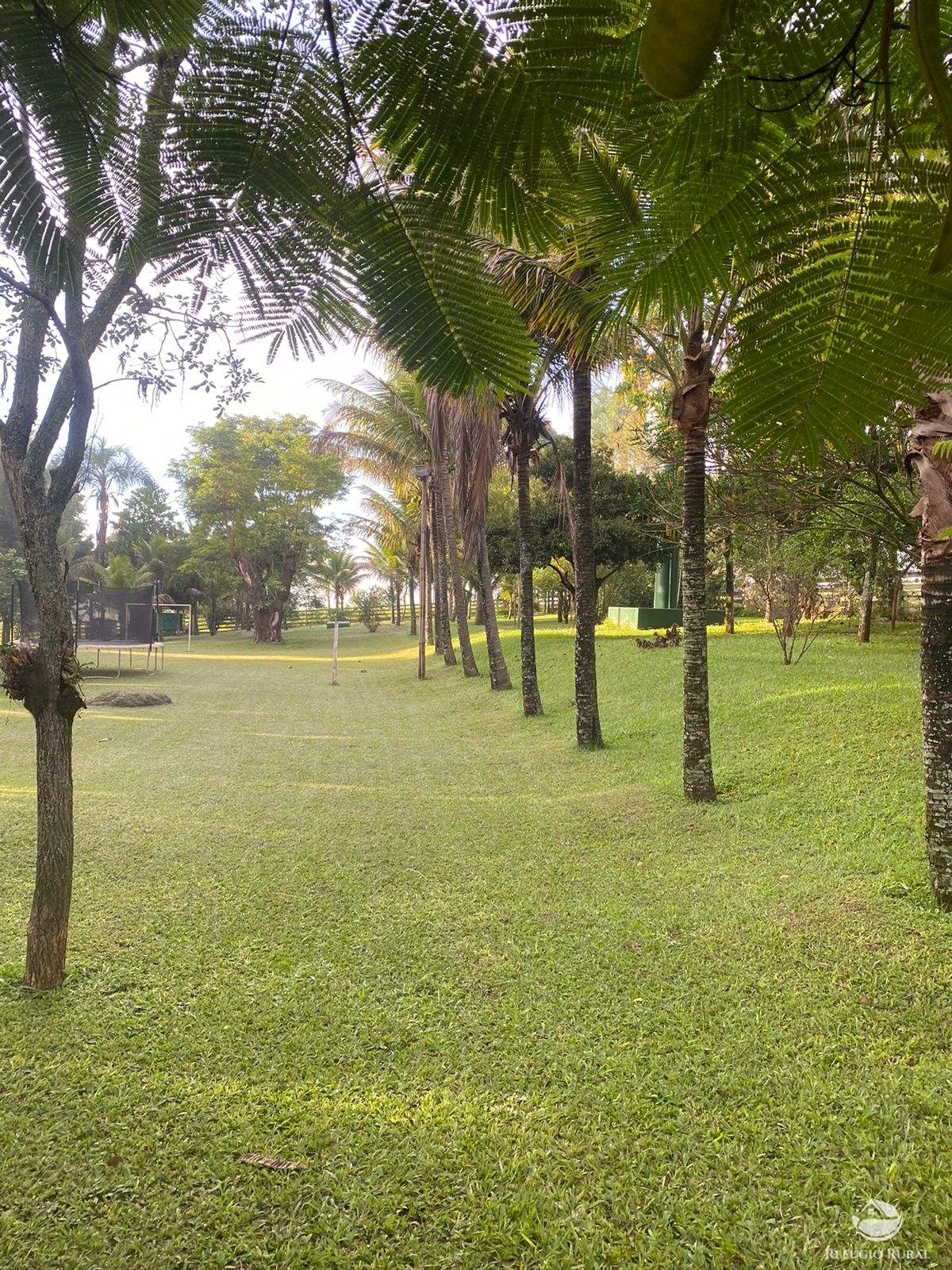 Fazenda à venda com 5 quartos, 12580000m² - Foto 2