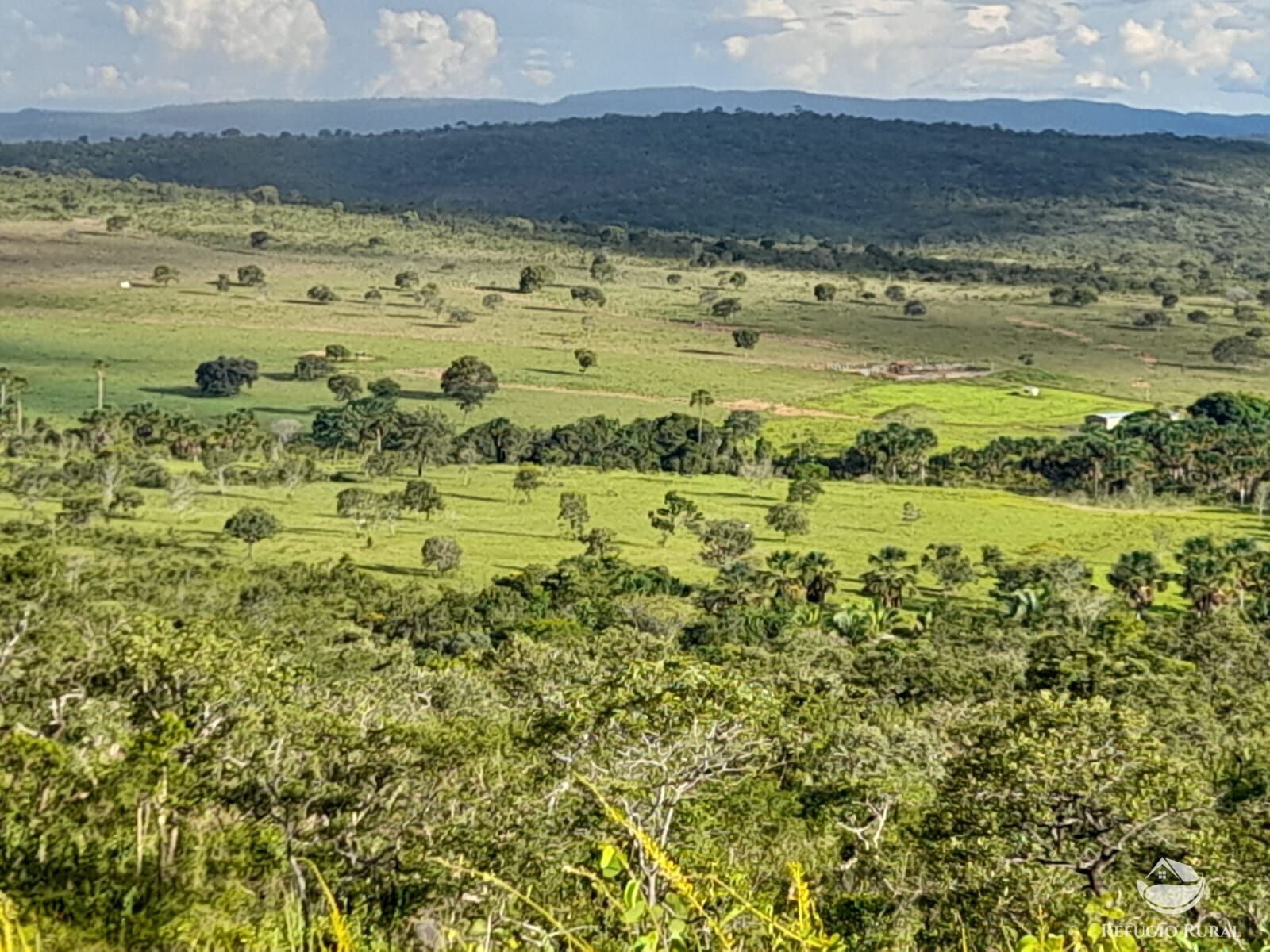 Fazenda à venda com 3 quartos, 13697200m² - Foto 2