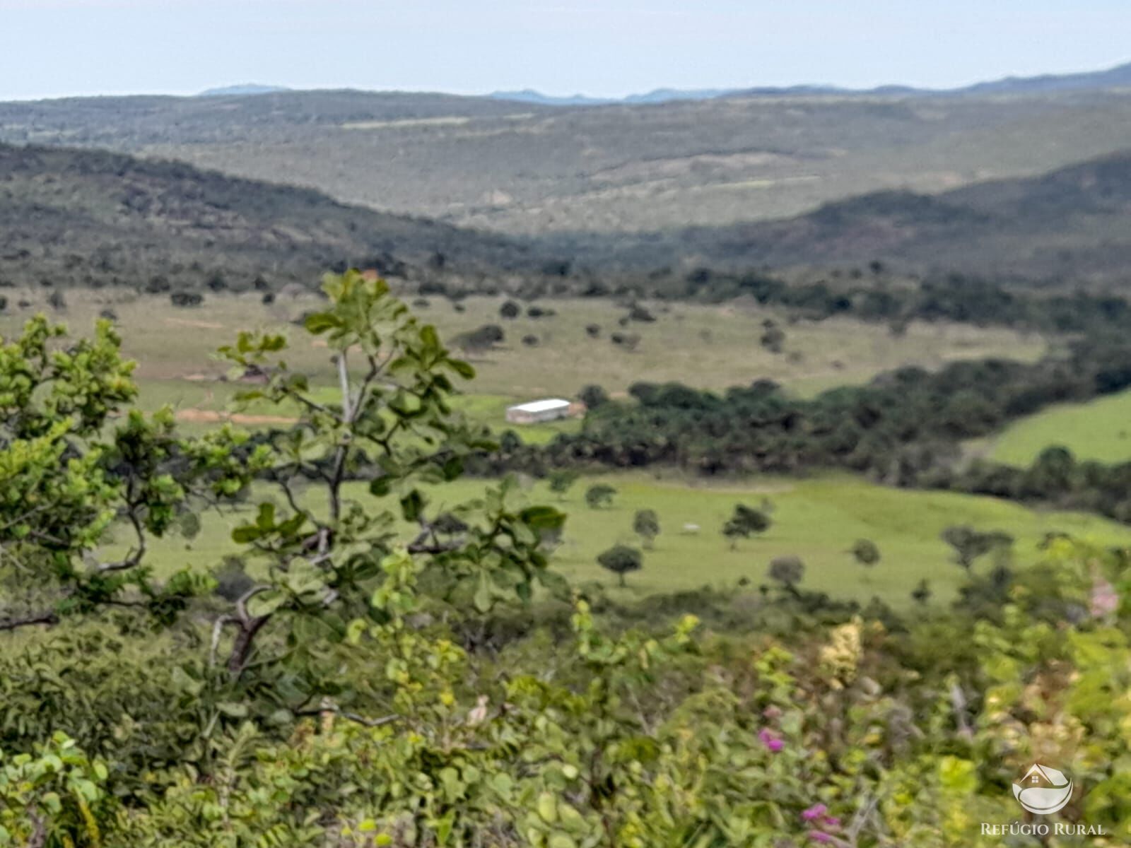 Fazenda à venda com 3 quartos, 13697200m² - Foto 13