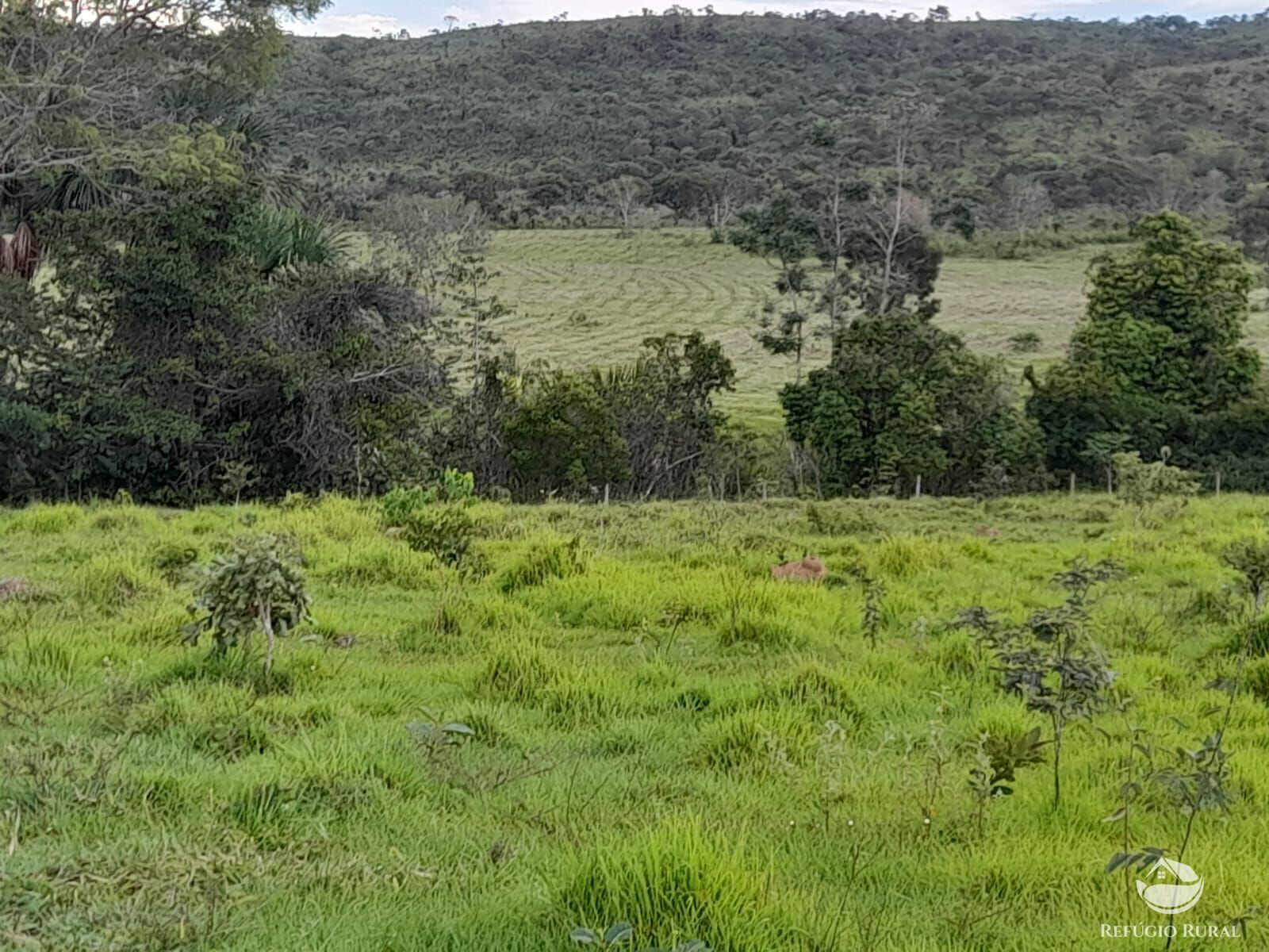 Fazenda à venda com 3 quartos, 13697200m² - Foto 16