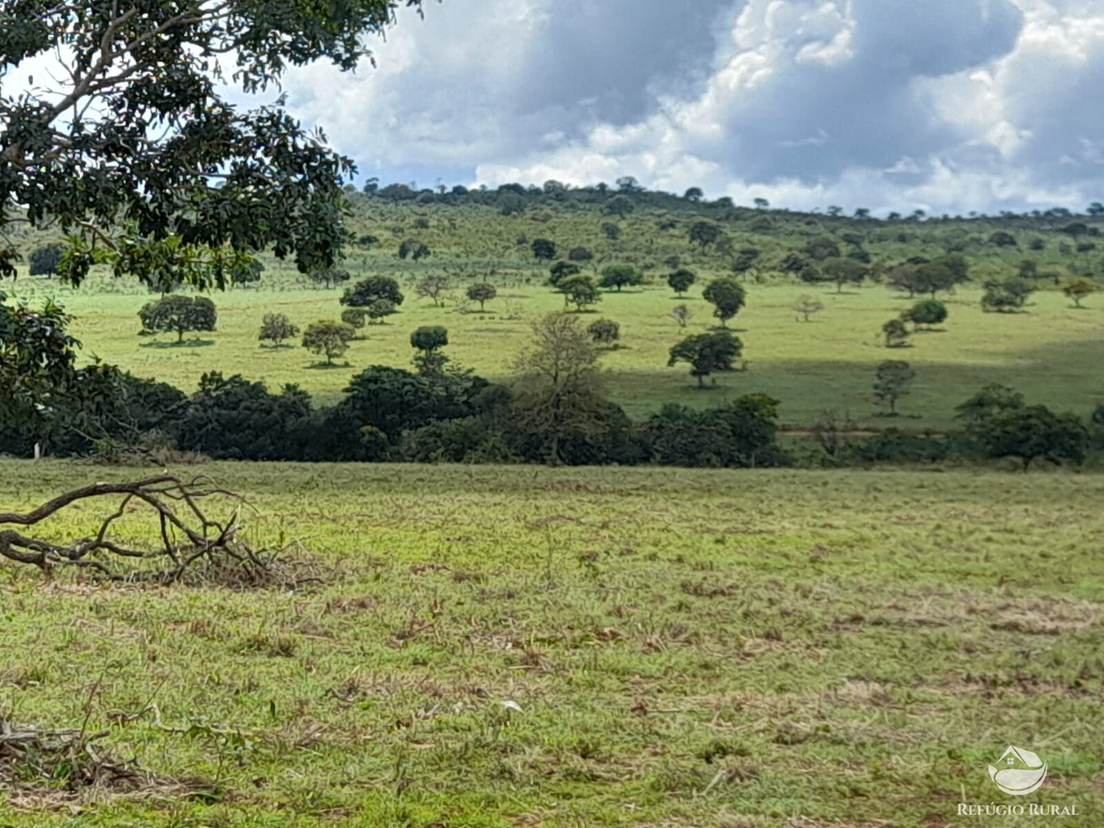 Fazenda à venda com 3 quartos, 13697200m² - Foto 7