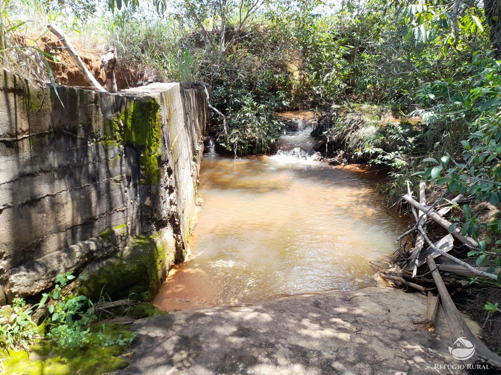 Fazenda à venda com 3 quartos, 13697200m² - Foto 20