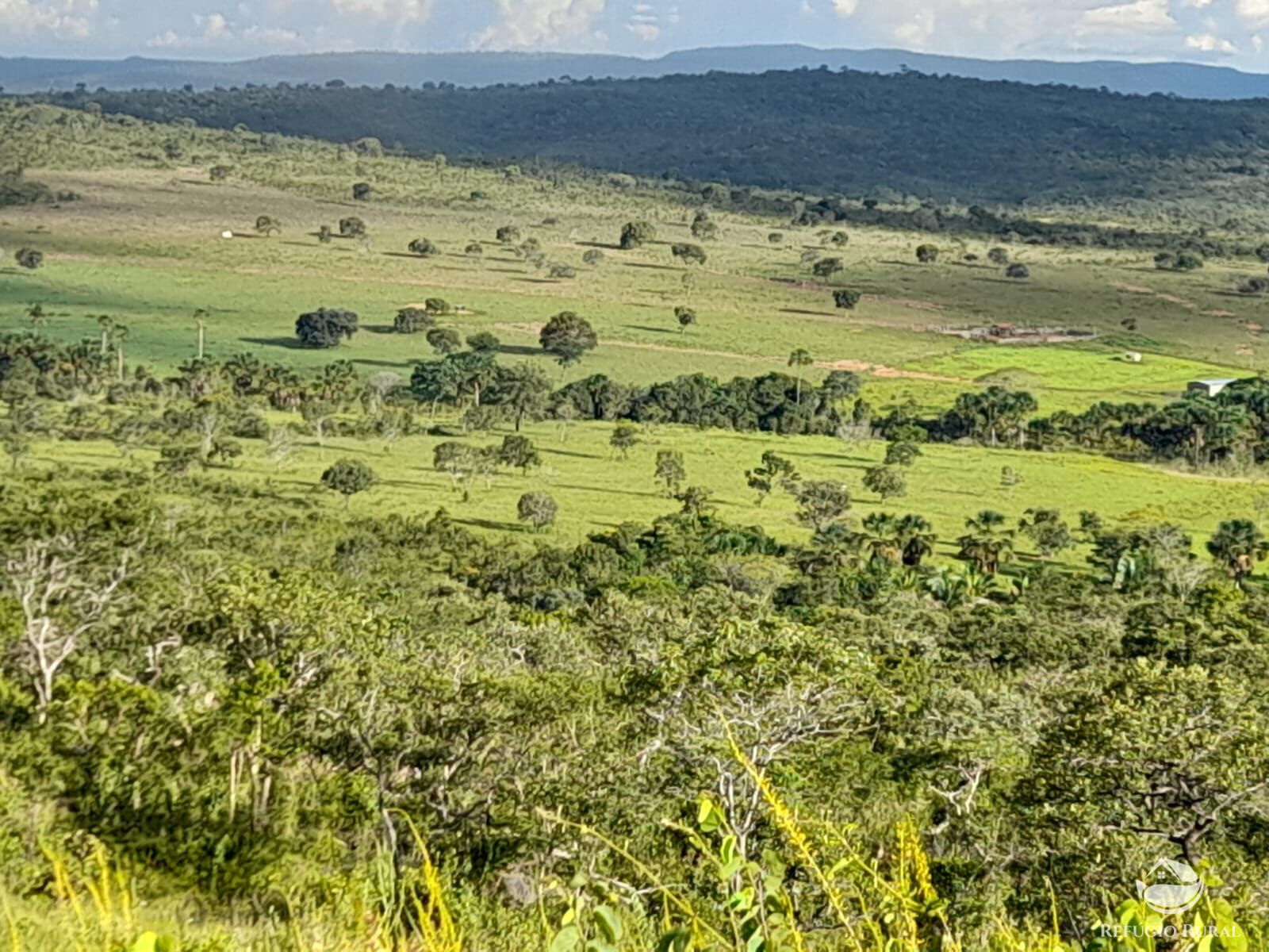 Fazenda à venda com 3 quartos, 13697200m² - Foto 14