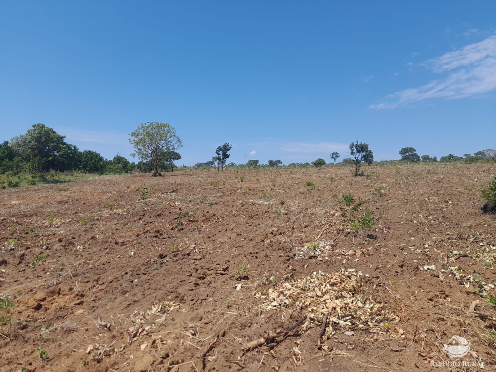 Fazenda à venda com 3 quartos, 13697200m² - Foto 10