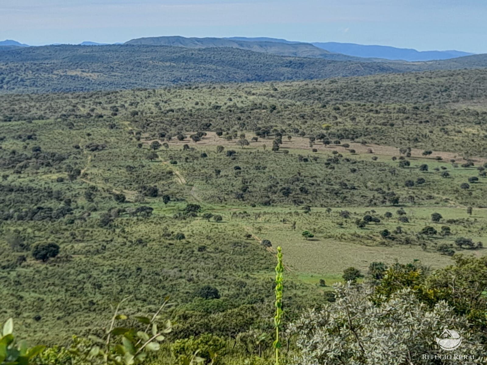 Fazenda à venda com 3 quartos, 13697200m² - Foto 17