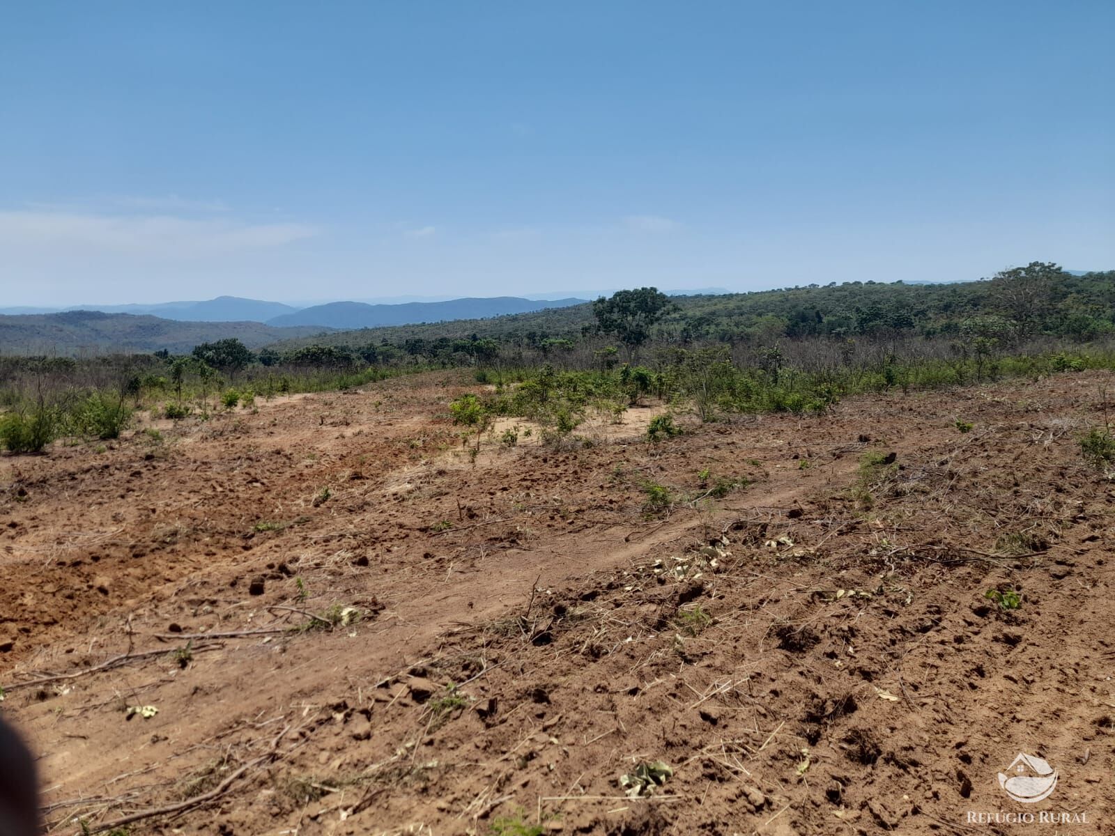 Fazenda à venda com 3 quartos, 13697200m² - Foto 4