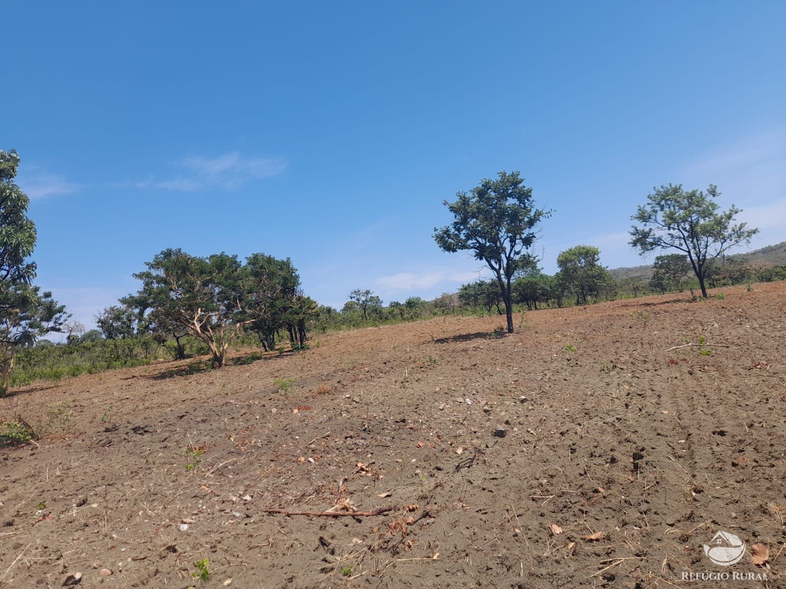 Fazenda à venda com 3 quartos, 13697200m² - Foto 11