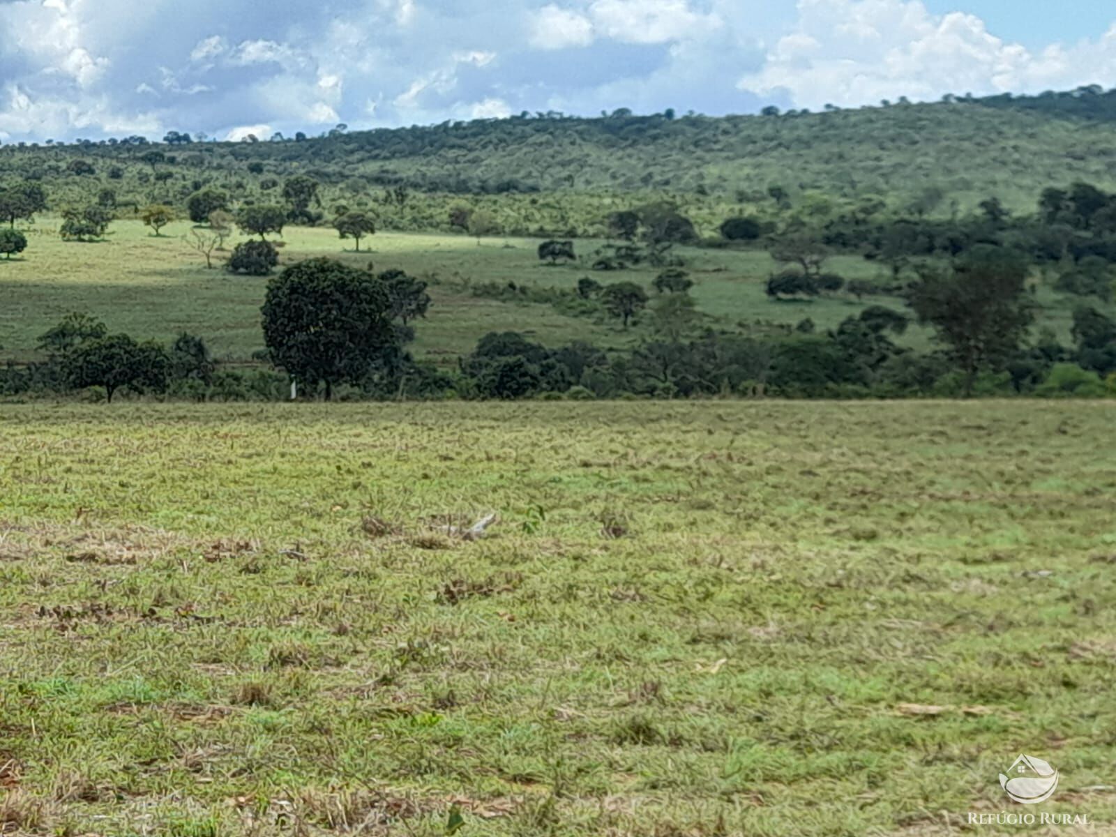 Fazenda à venda com 3 quartos, 13697200m² - Foto 12