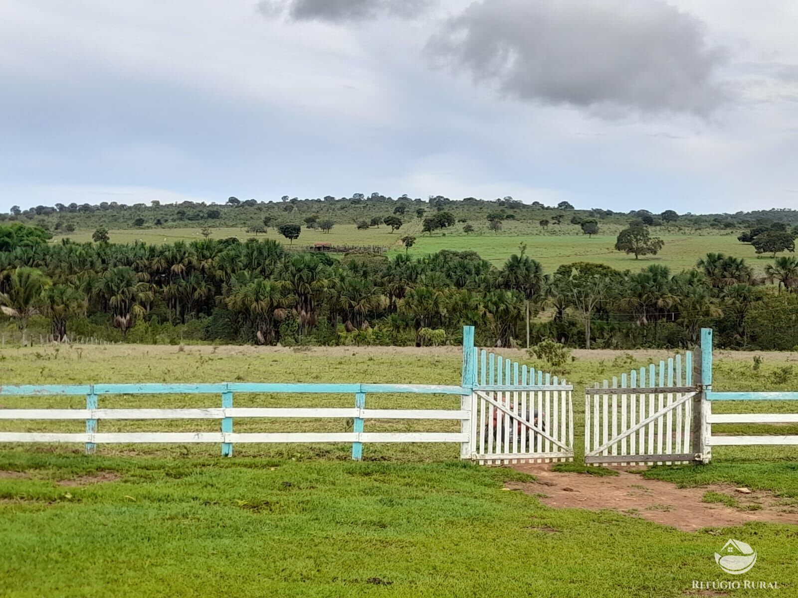 Fazenda à venda com 3 quartos, 13697200m² - Foto 1