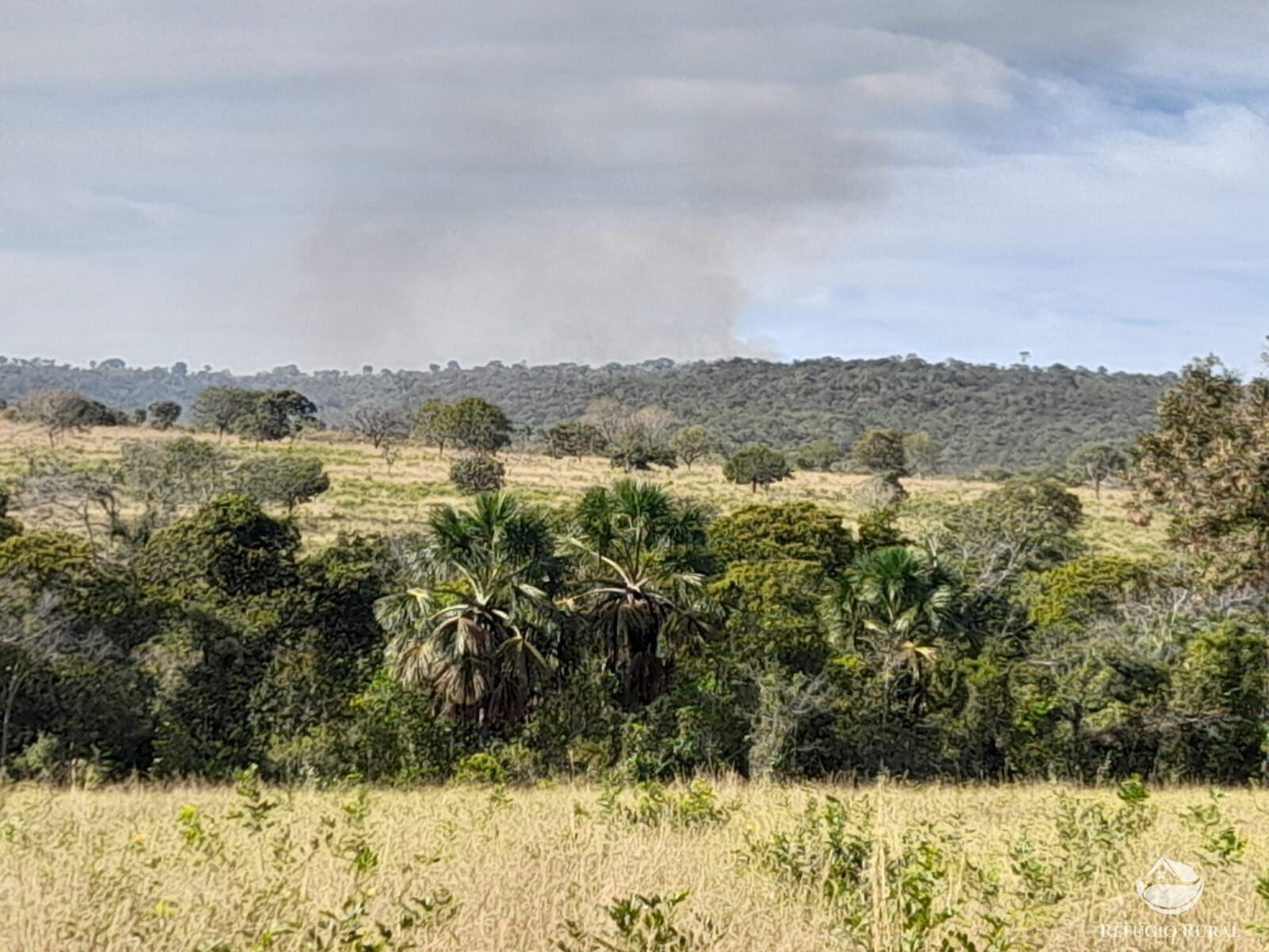 Fazenda à venda com 3 quartos, 13697200m² - Foto 6