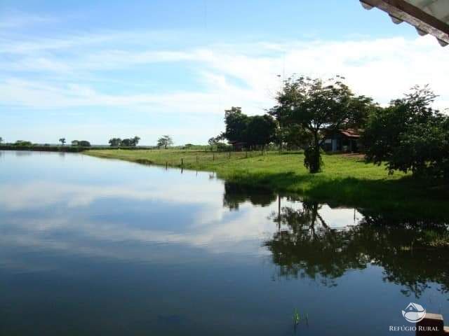 Fazenda à venda com 10 quartos, 60000000m² - Foto 10