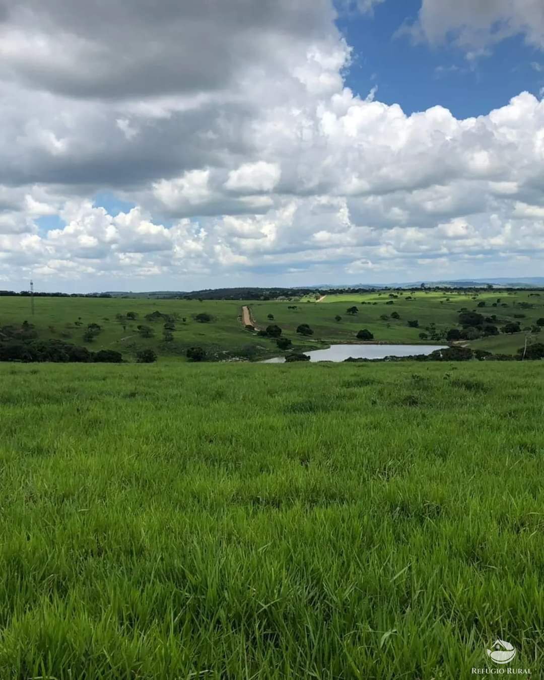 Fazenda à venda com 10 quartos, 60000000m² - Foto 7