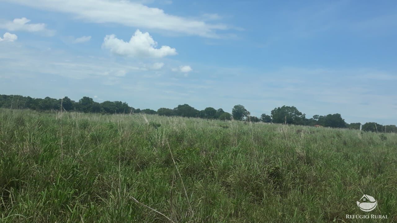 Fazenda, 1597 hectares - Foto 10