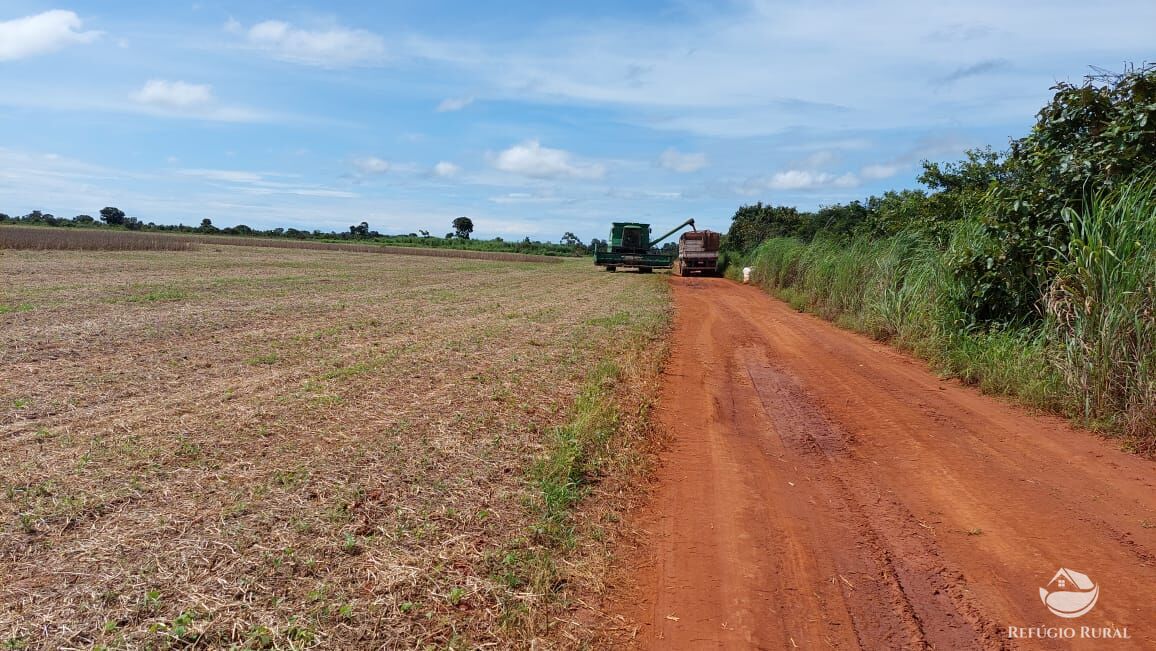 Fazenda, 1597 hectares - Foto 3