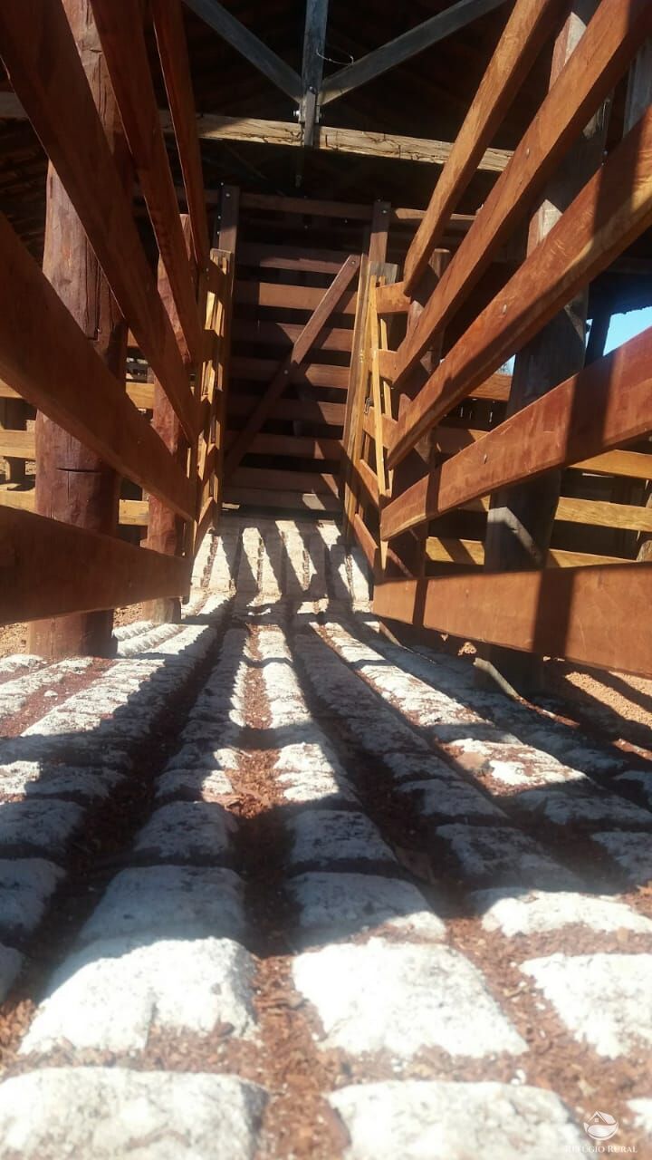 Fazenda, 1597 hectares - Foto 7