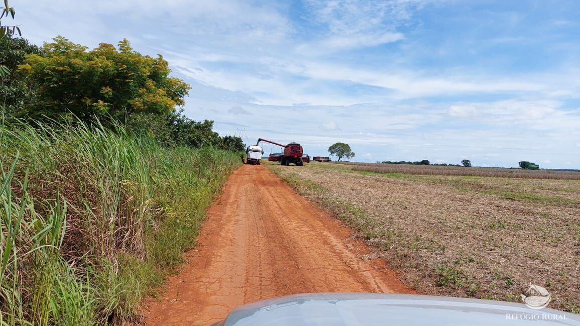 Fazenda, 1597 hectares - Foto 6