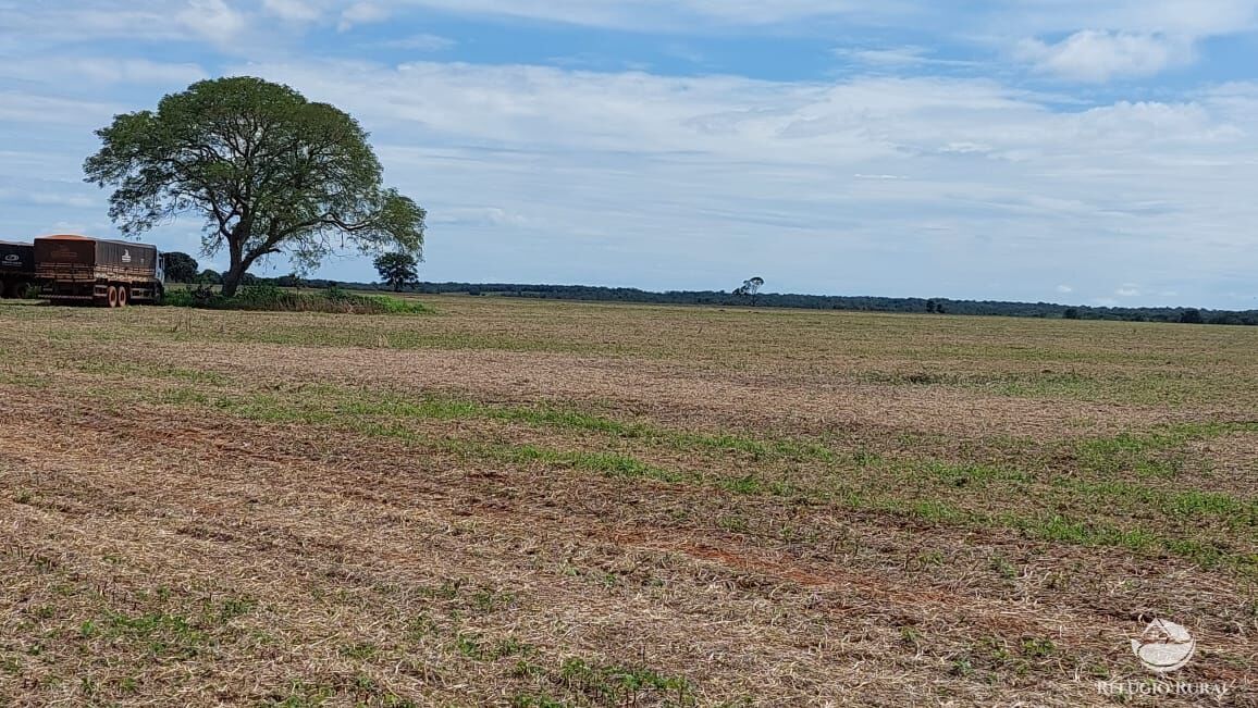Fazenda, 1597 hectares - Foto 1