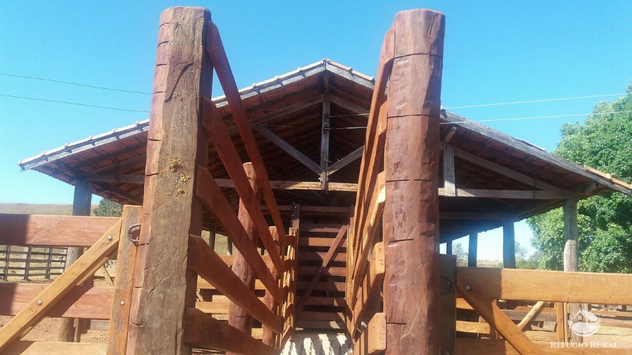 Fazenda, 1597 hectares - Foto 8