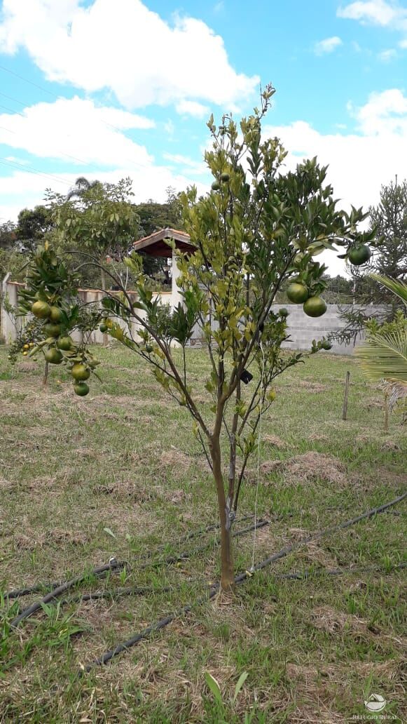 Chácara, 2 quartos, 5000 m² - Foto 16