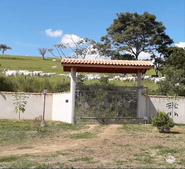 Chácara, 2 quartos, 5000 m² - Foto 4