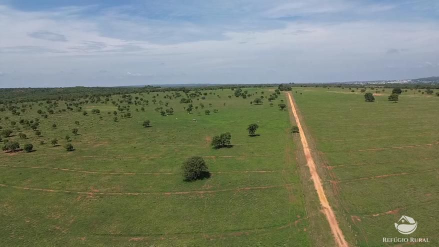 Fazenda, 726 hectares - Foto 5