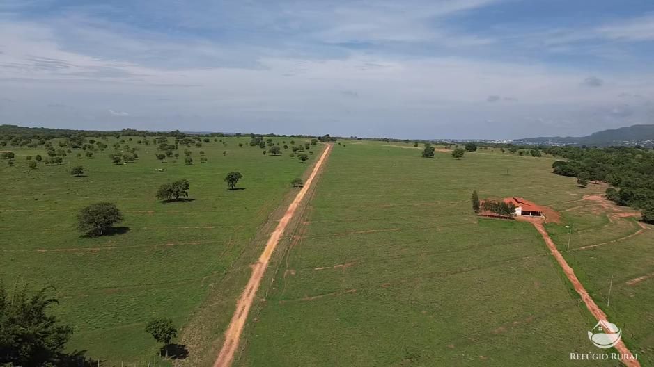 Fazenda, 726 hectares - Foto 4