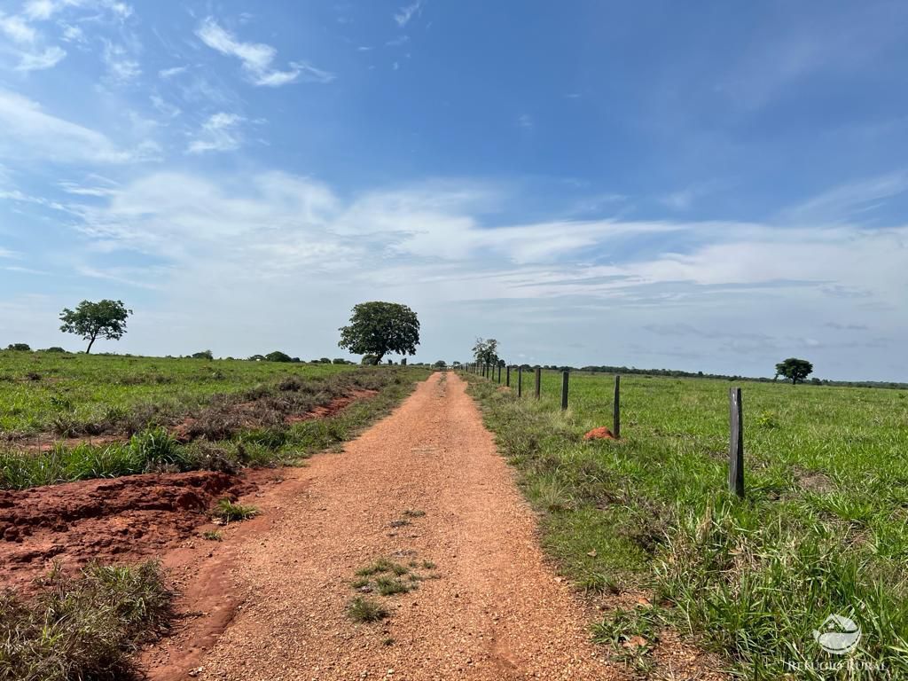 Fazenda, 726 hectares - Foto 3
