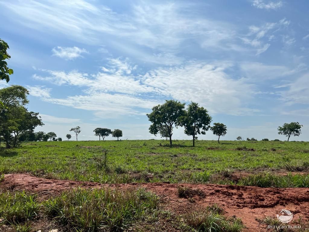 Fazenda, 726 hectares - Foto 2