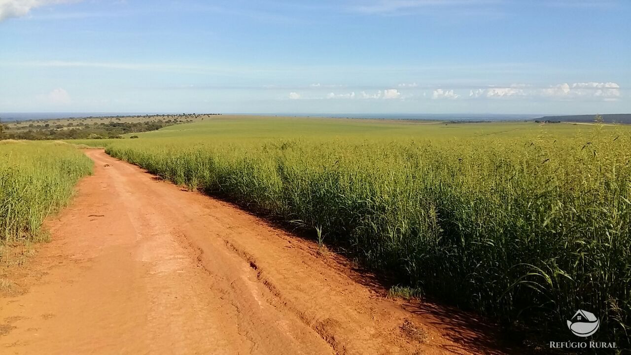 Fazenda à venda com 5 quartos, 36750000m² - Foto 3