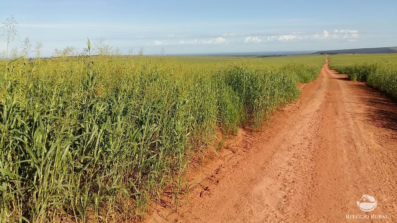 Fazenda à venda com 5 quartos, 36750000m² - Foto 4